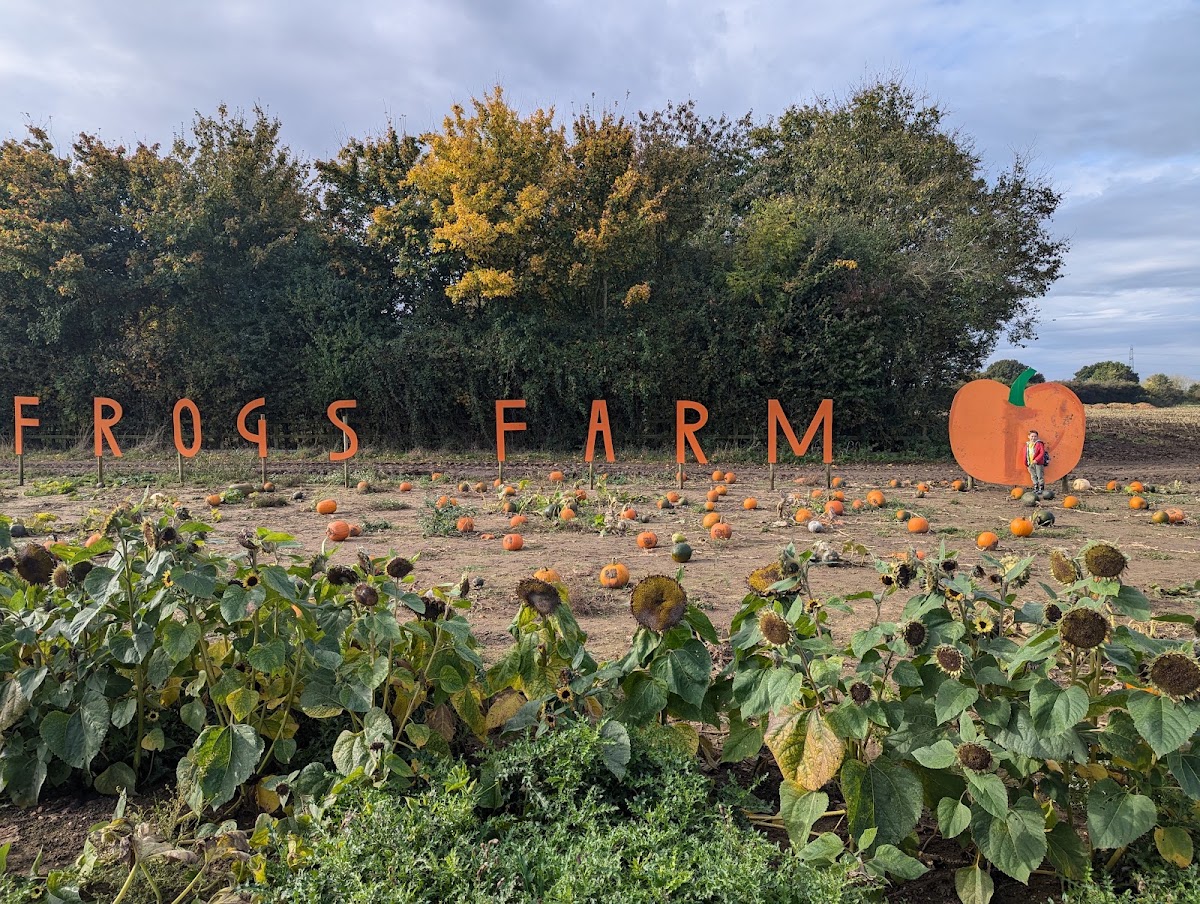 Frog's Farm Pumpkin Patch — pumpkin patch photo 5