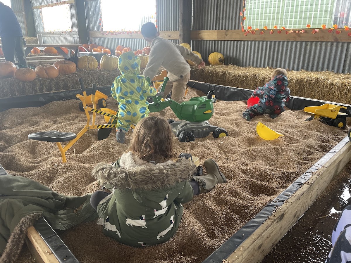 Pumpkin Barn — pumpkin patch photo 2