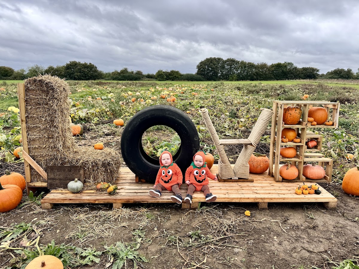 Pumpkin Barn — pumpkin patch photo 3