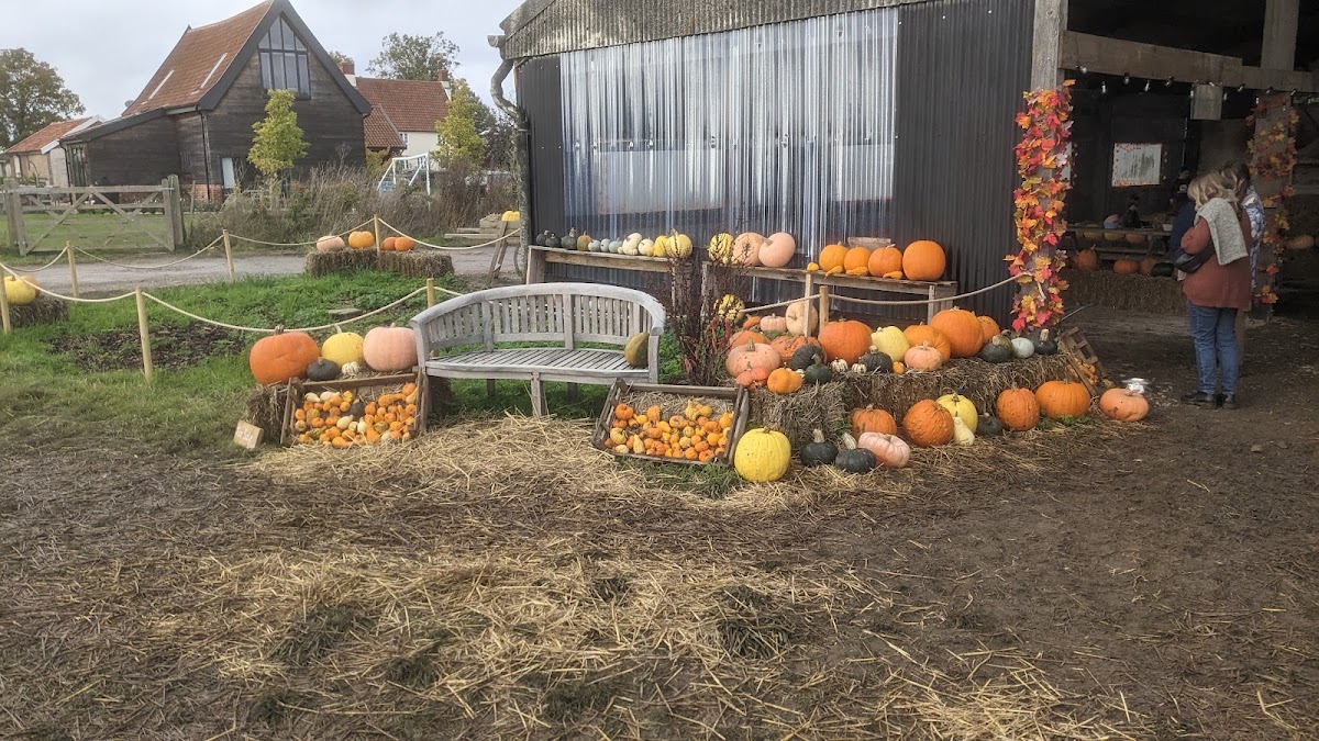 Pumpkin Barn — pumpkin patch photo 4