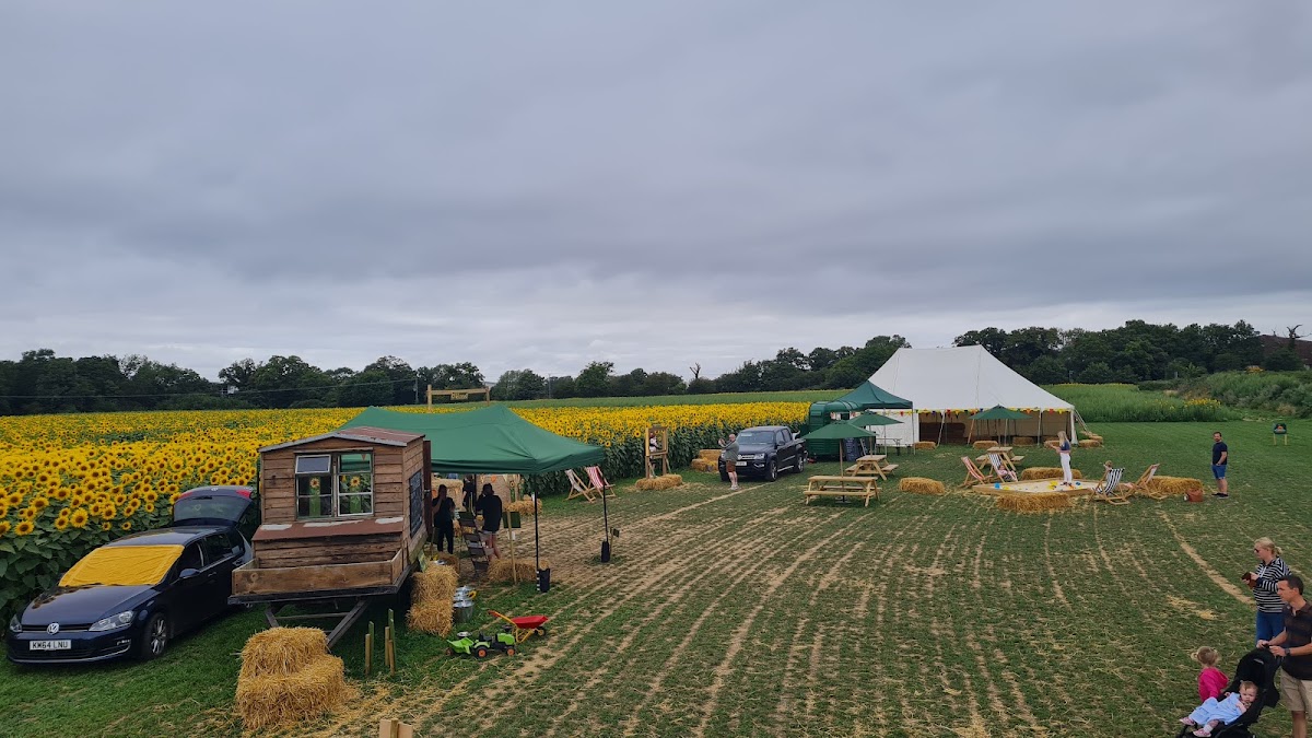 Rougham Pumpkin Patch — pumpkin patch photo 2