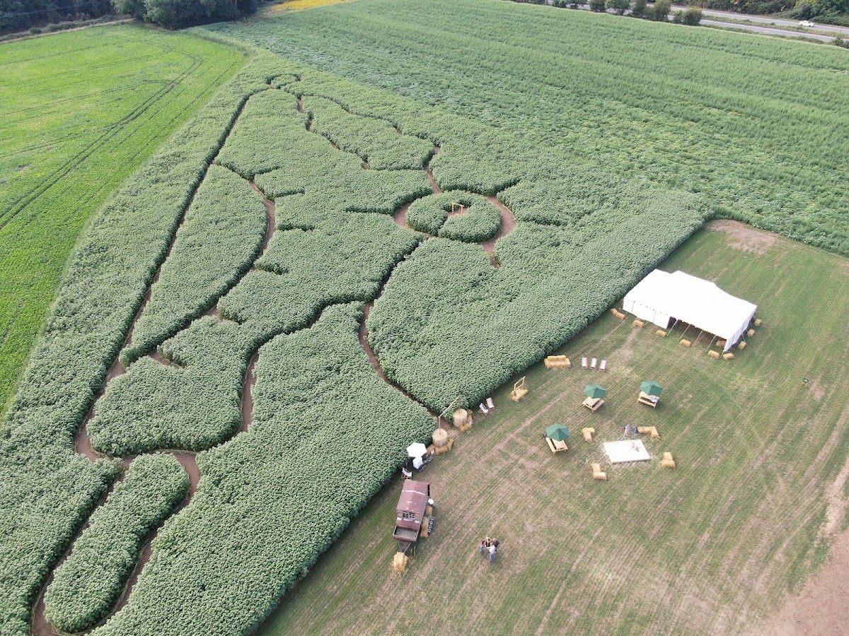 Rougham Pumpkin Patch — pumpkin patch photo 5