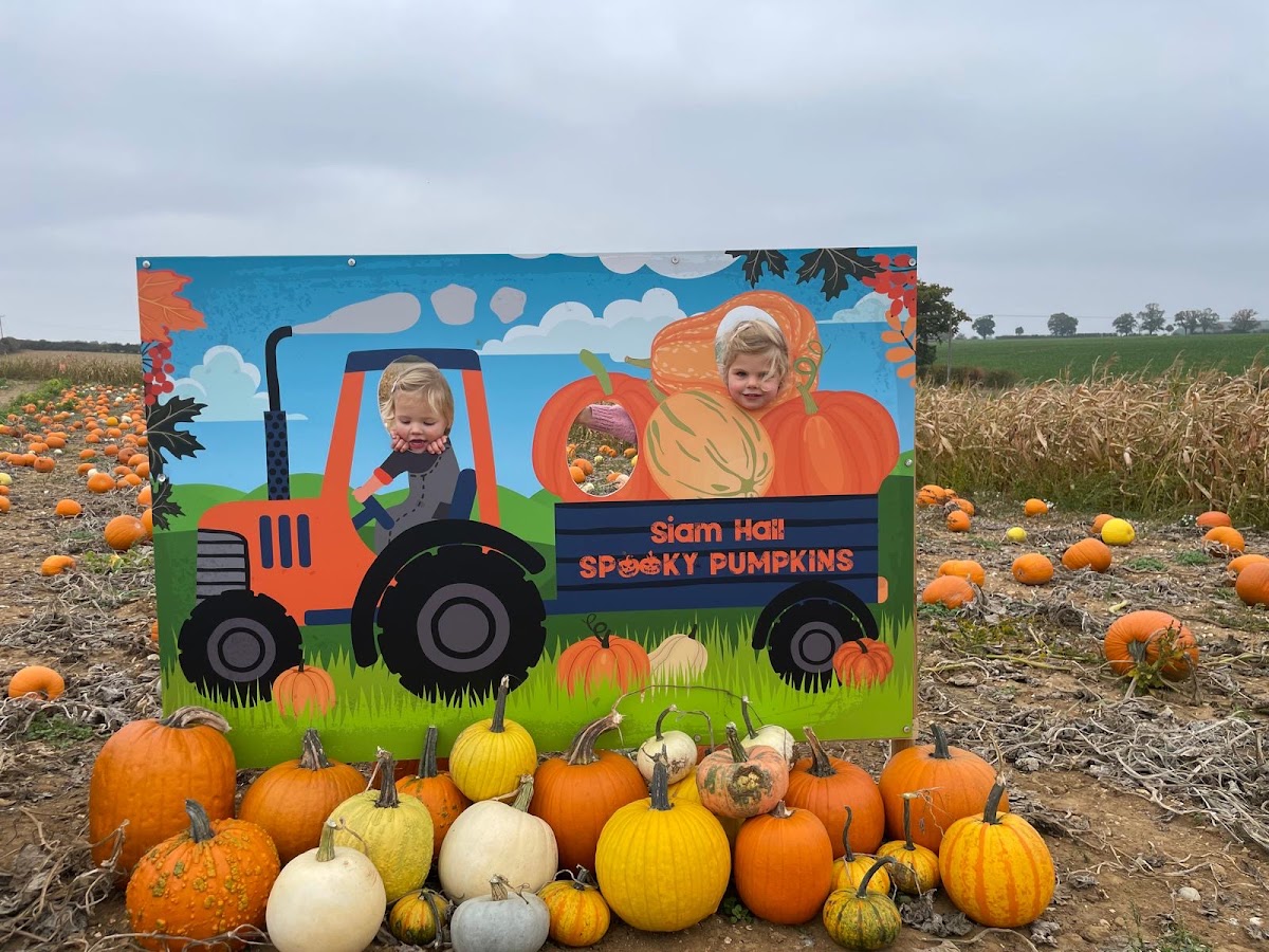 Siam Hall Spooky Pumpkins — pumpkin patch photo 2