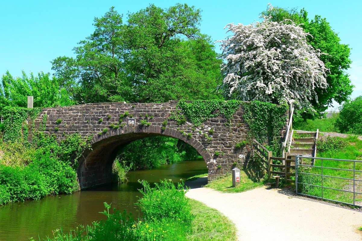 Ty Poeth Farm Pumpkin Pick — pumpkin patch photo 2