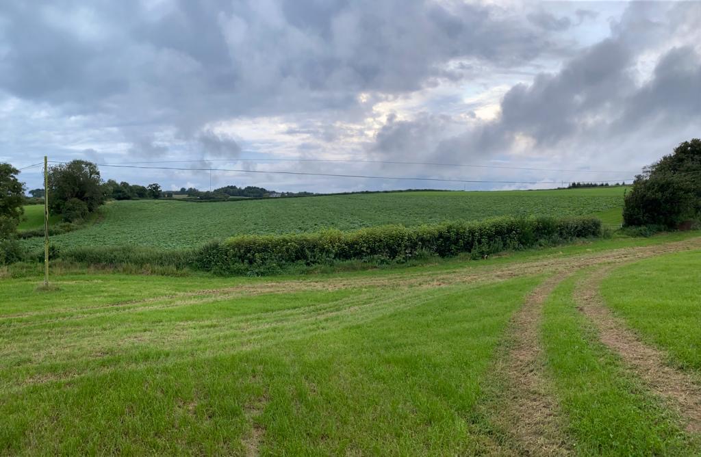 Vale Pick Your Own — pumpkin patch photo 2