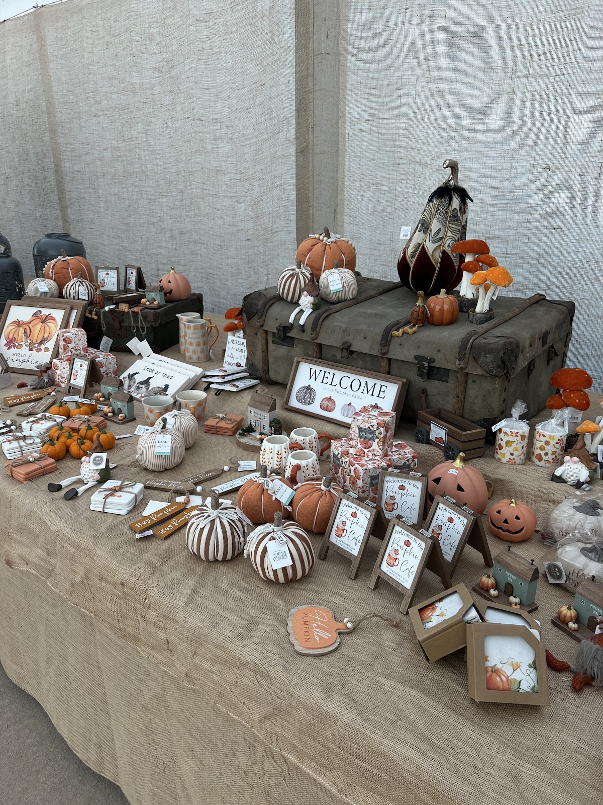 Pumpkins R Us — pumpkin patch photo 5