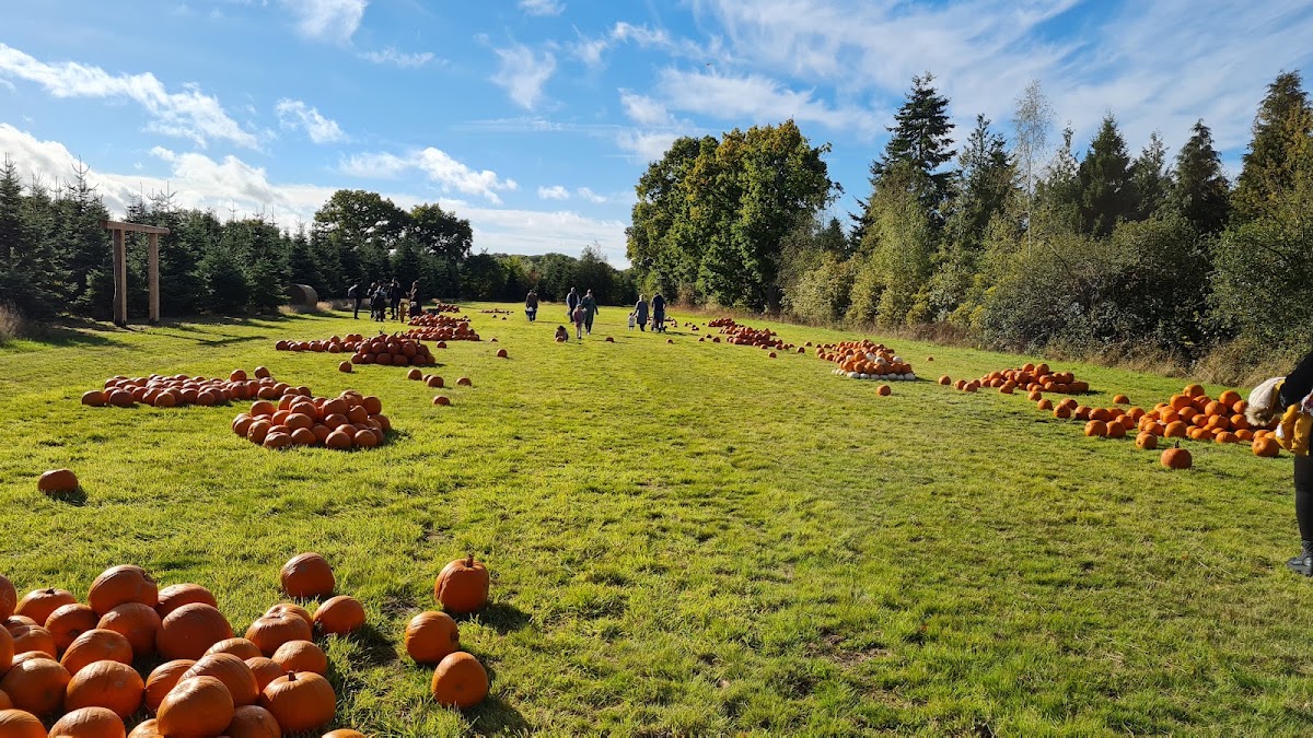 Woods Farm