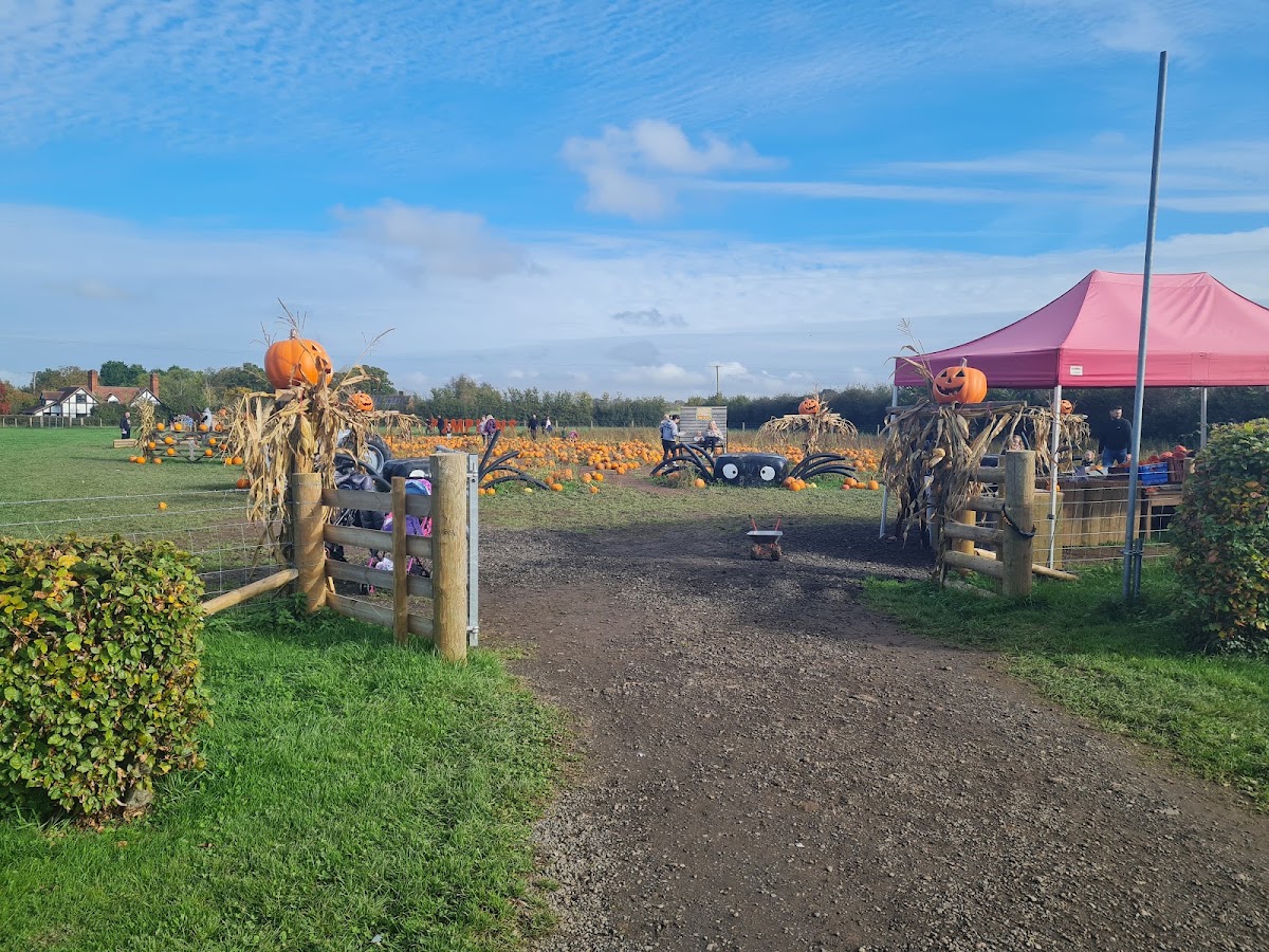 Churchfields Farm — pumpkin patch photo 3
