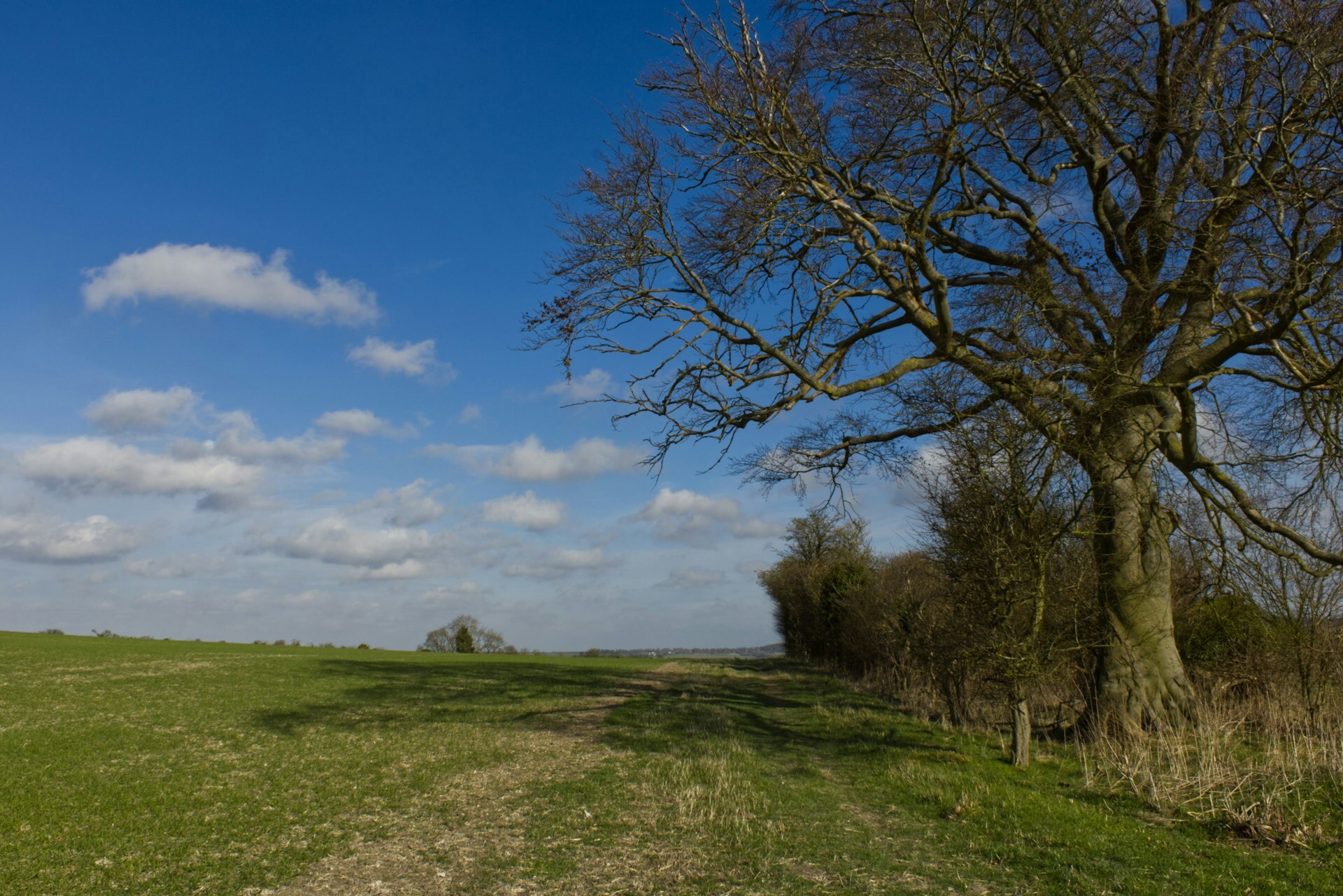 Ivinghoe Beacon