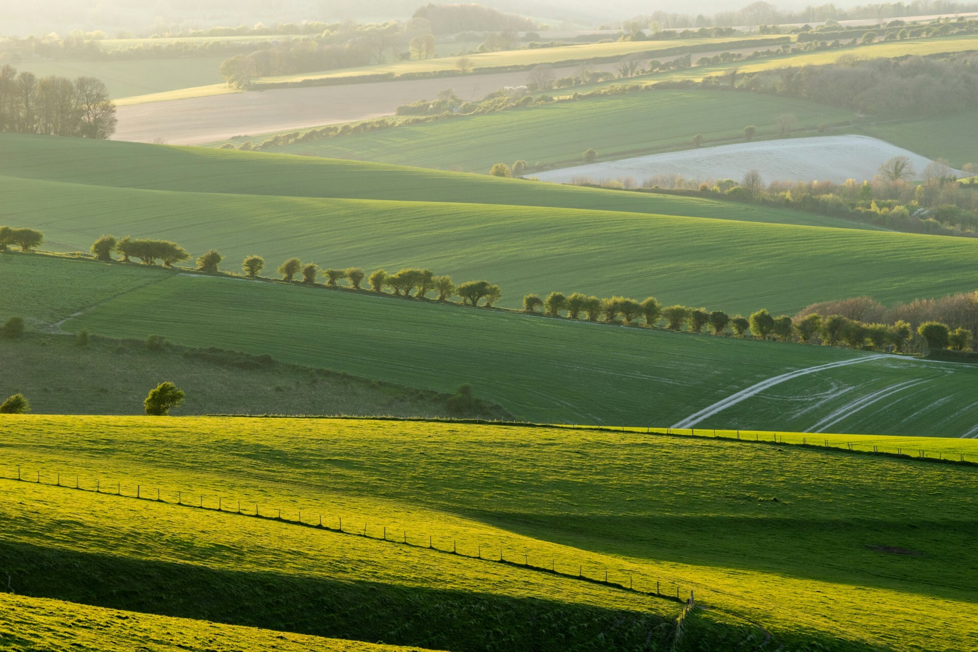 South Downs Way