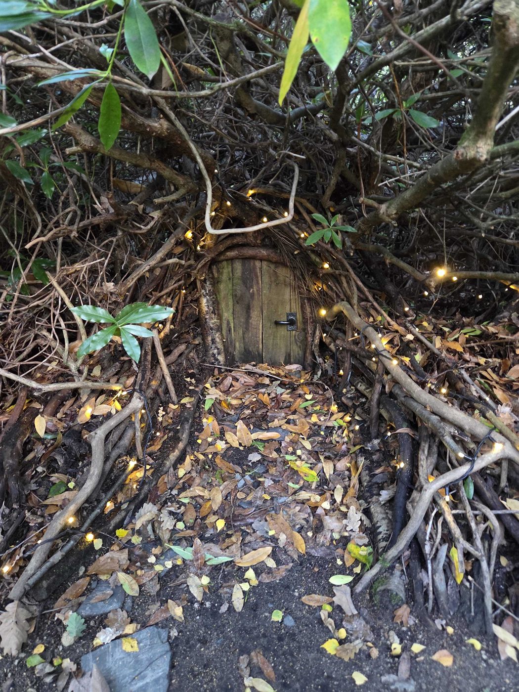Dreamery Gardens — photo 2