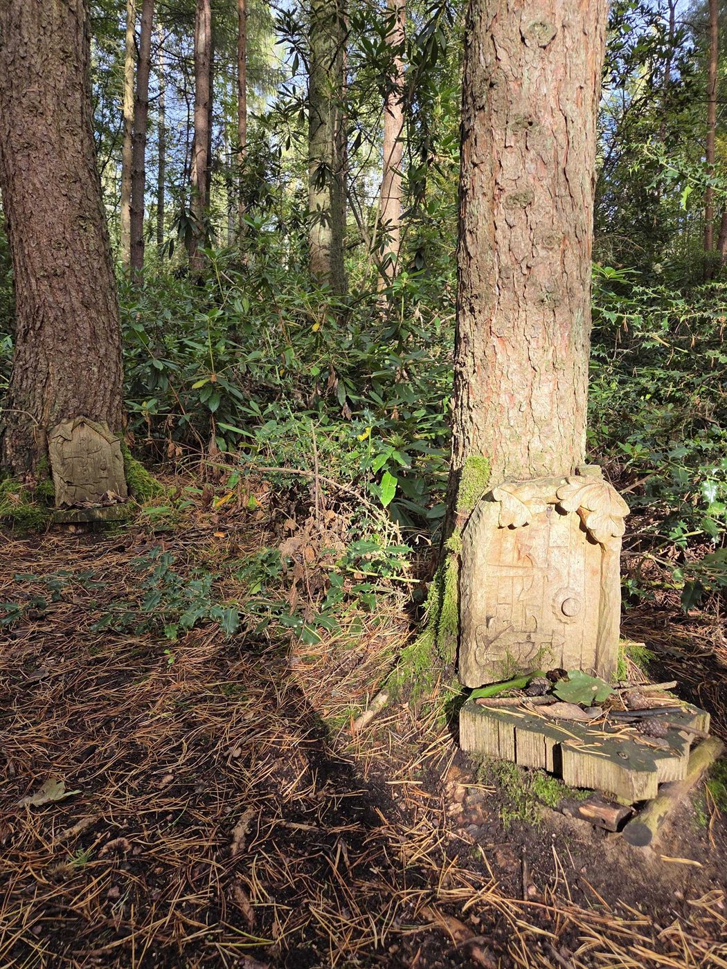 Dreamery Gardens — photo 4
