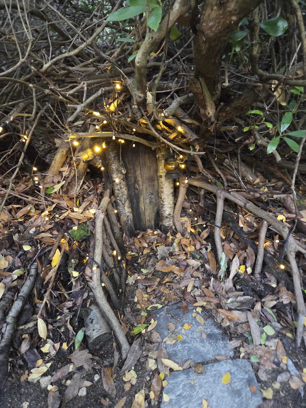 Dreamery Gardens — photo 5